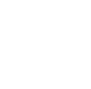 QtWS2019_globe_training day page